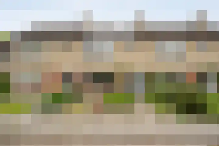 Zonnelaan 7 Hardenberg foto 2