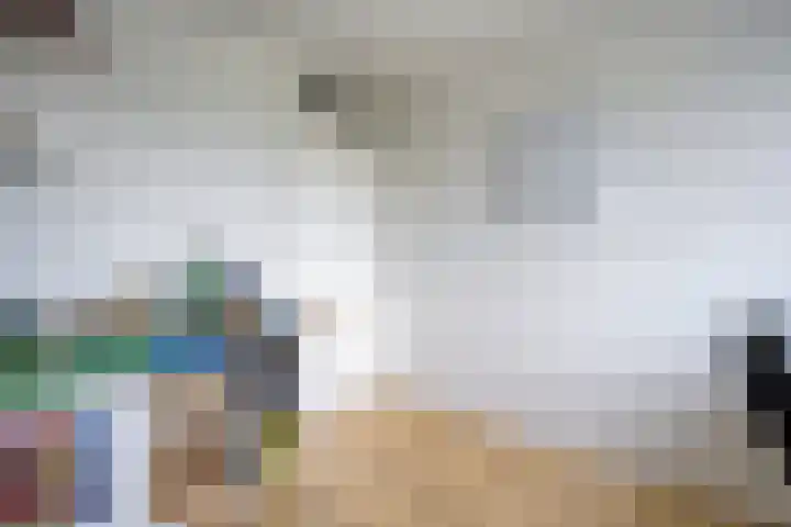 Zonnelaan 7 Hardenberg thumbnail 23