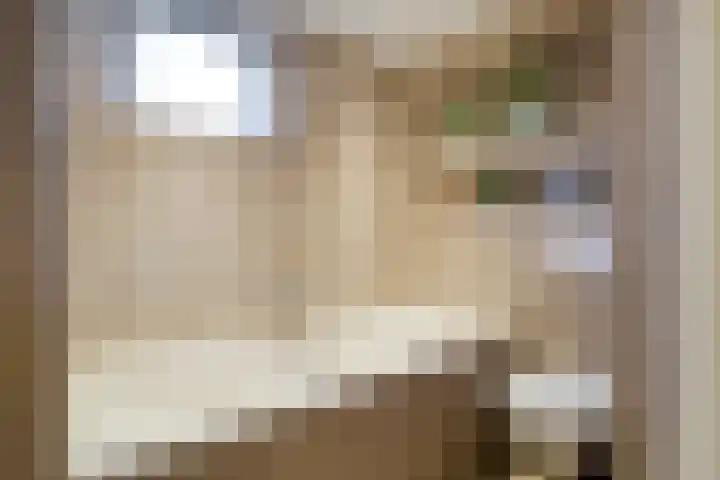 Zonnelaan 7 Hardenberg thumbnail 25