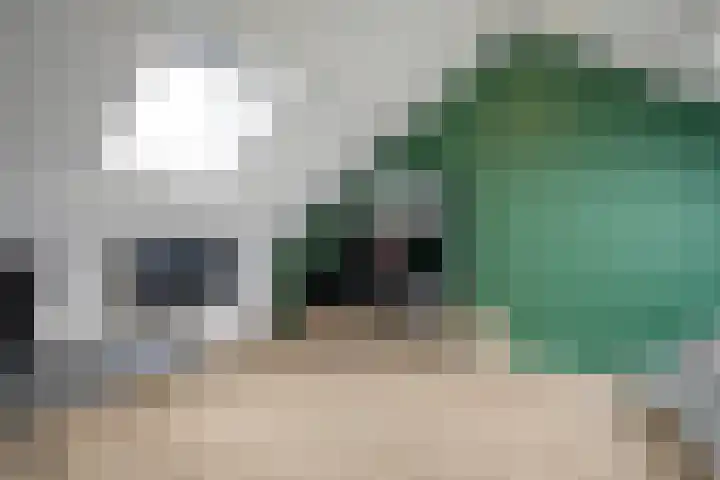 Zonnelaan 7 Hardenberg thumbnail 29