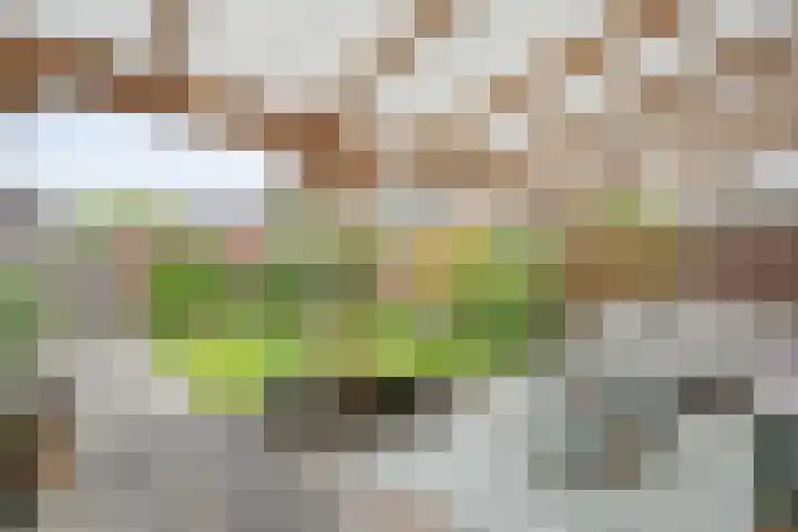 Zonnelaan 7 Hardenberg thumbnail 32