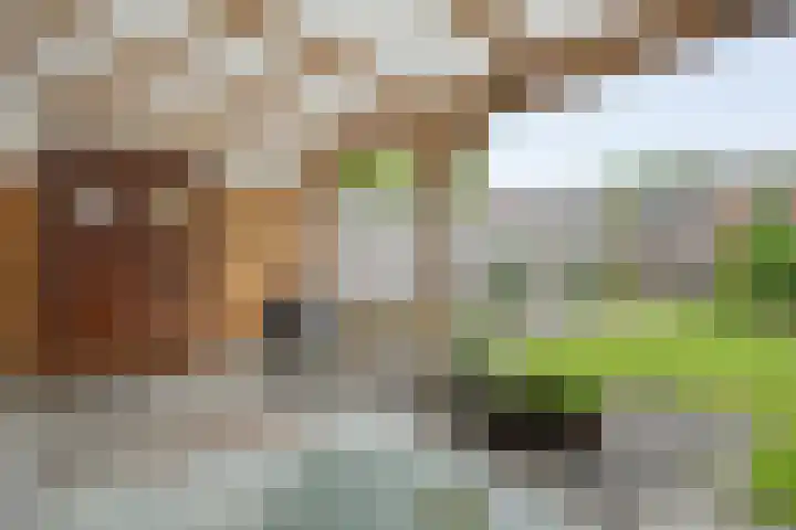 Zonnelaan 7 Hardenberg thumbnail 33
