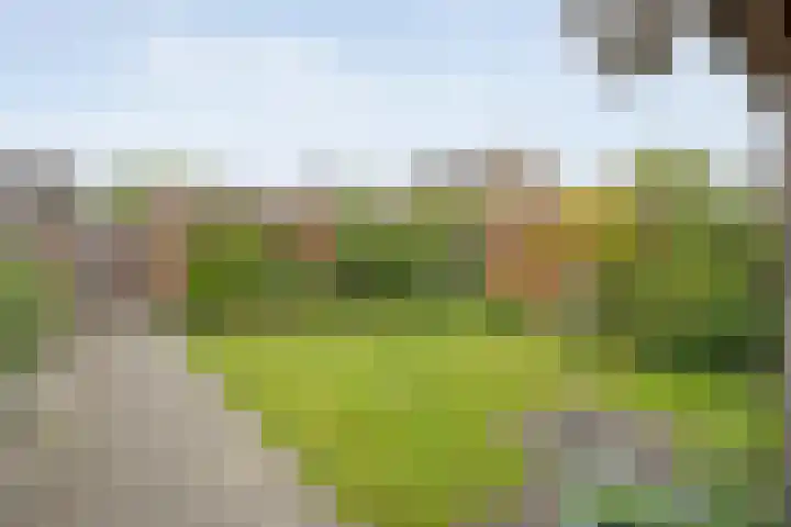 Zonnelaan 7 Hardenberg thumbnail 35