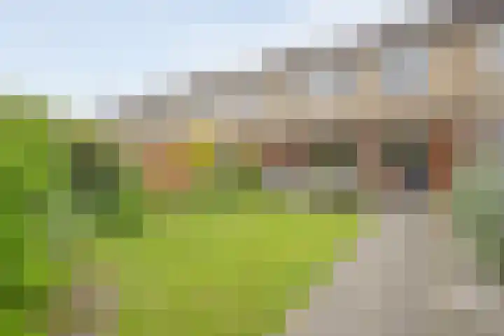 Zonnelaan 7 Hardenberg thumbnail 37