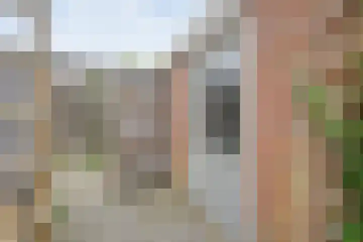 Zonnelaan 7 Hardenberg thumbnail 38