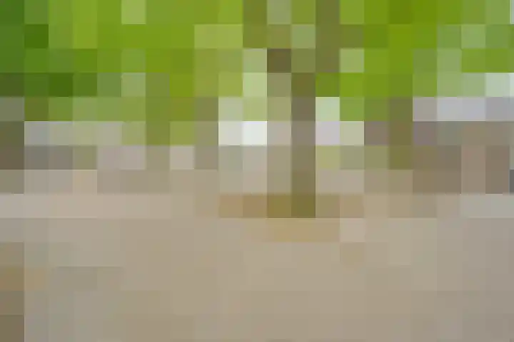 Zonnelaan 7 Hardenberg thumbnail 39