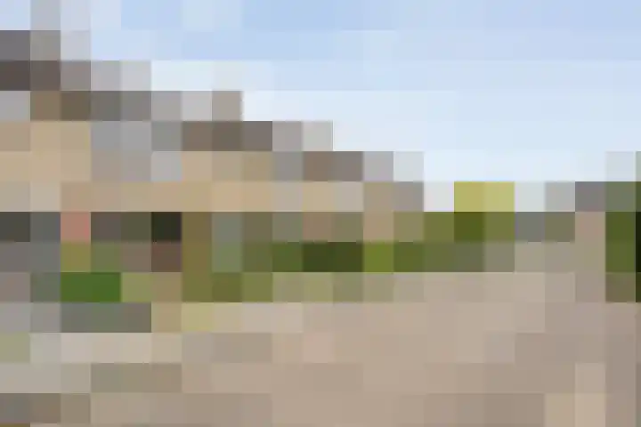Zonnelaan 7 Hardenberg thumbnail 4
