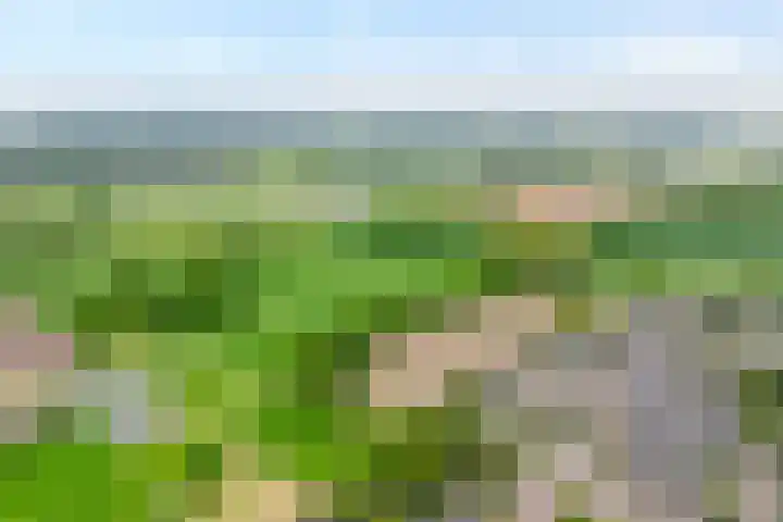 Zonnelaan 7 Hardenberg thumbnail 40