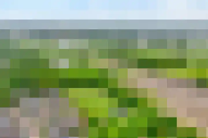Zonnelaan 7 Hardenberg thumbnail 41