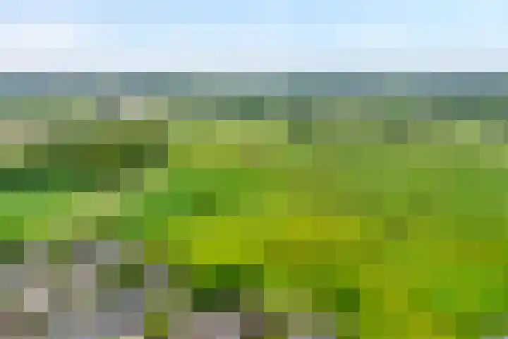 Zonnelaan 7 Hardenberg thumbnail 42