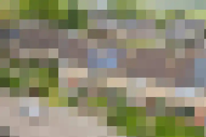 Zonnelaan 7 Hardenberg thumbnail 43