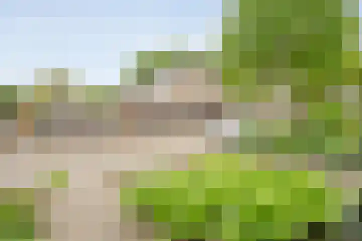 Zonnelaan 7 Hardenberg thumbnail 45