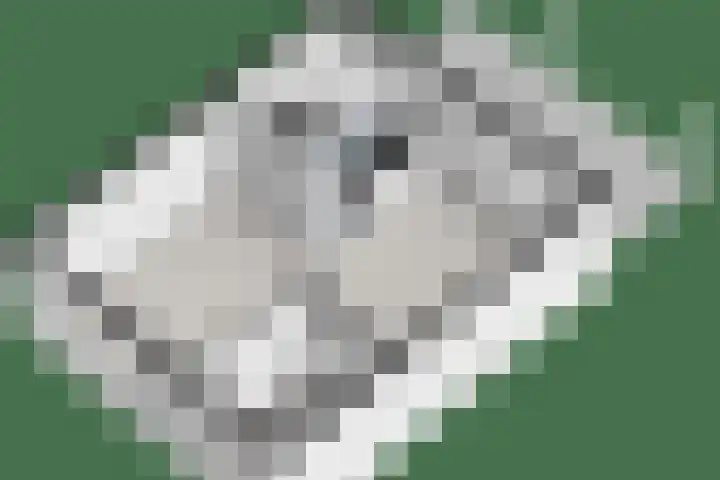 Zonnelaan 7 Hardenberg thumbnail 47