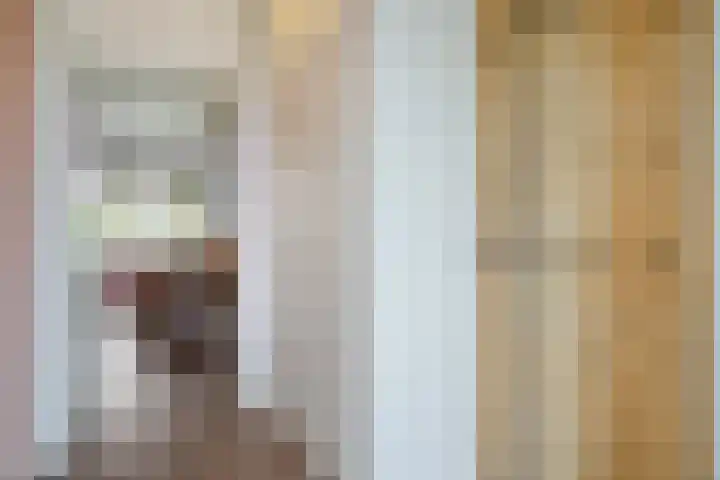 Zonnelaan 7 Hardenberg thumbnail 5