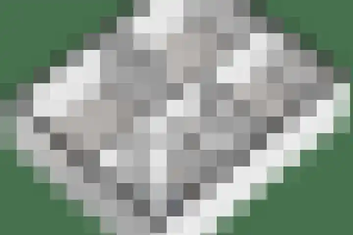 Zonnelaan 7 Hardenberg thumbnail 50