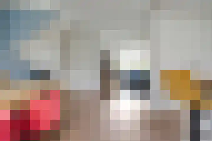 Zonnelaan 7 Hardenberg thumbnail 8