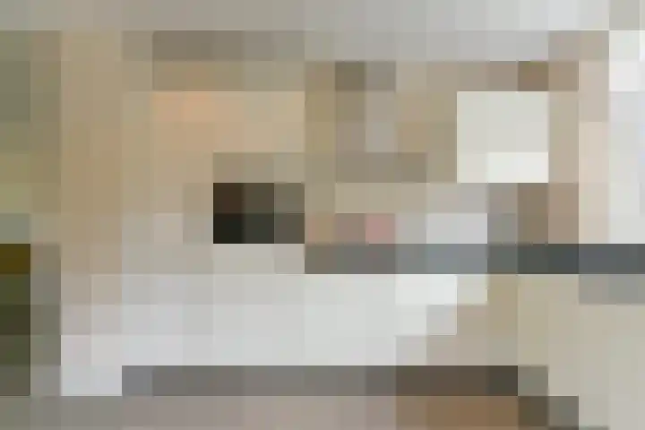 Zonnelaan 87 Huis ter Heide thumbnail 11