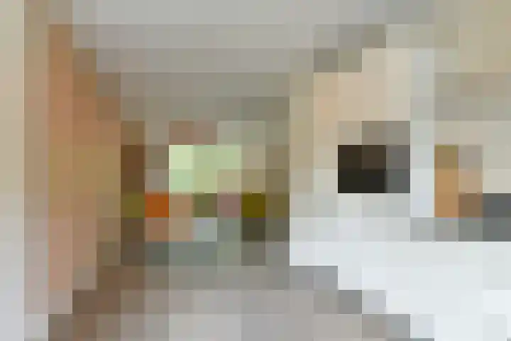 Zonnelaan 87 Huis ter Heide thumbnail 13