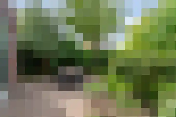Zonnelaan 87 Huis ter Heide thumbnail 16