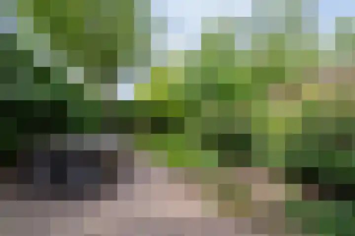Zonnelaan 87 Huis ter Heide thumbnail 17