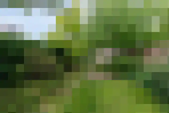 Zonnelaan 87 Huis ter Heide thumbnail 18