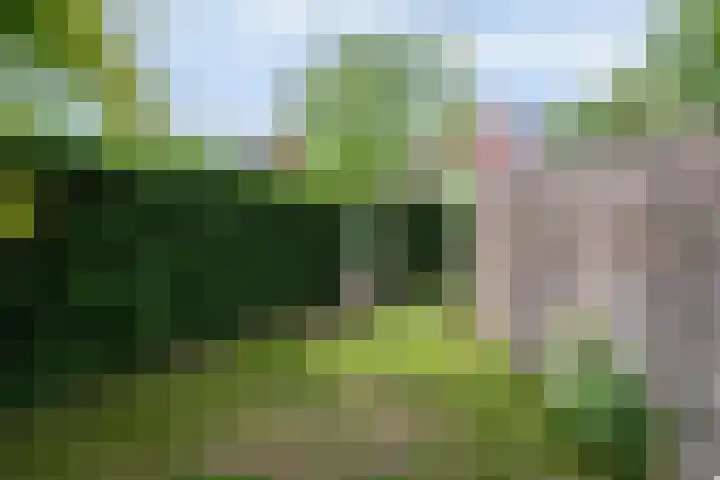 Zonnelaan 87 Huis ter Heide thumbnail 19