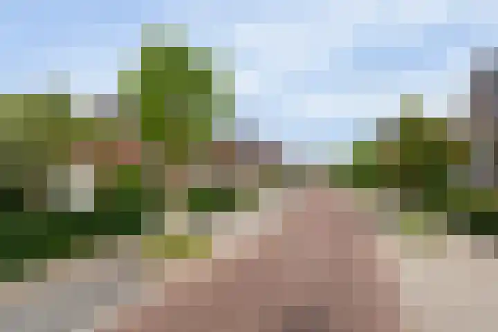 Zonnelaan 87 Huis ter Heide foto 2