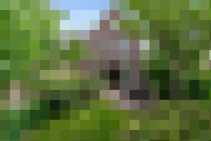 Zonnelaan 87 Huis ter Heide thumbnail 20