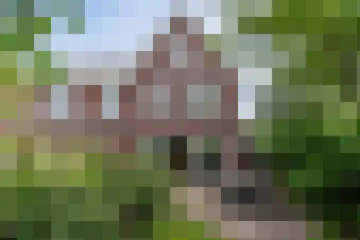 Zonnelaan 87 Huis ter Heide thumbnail 21