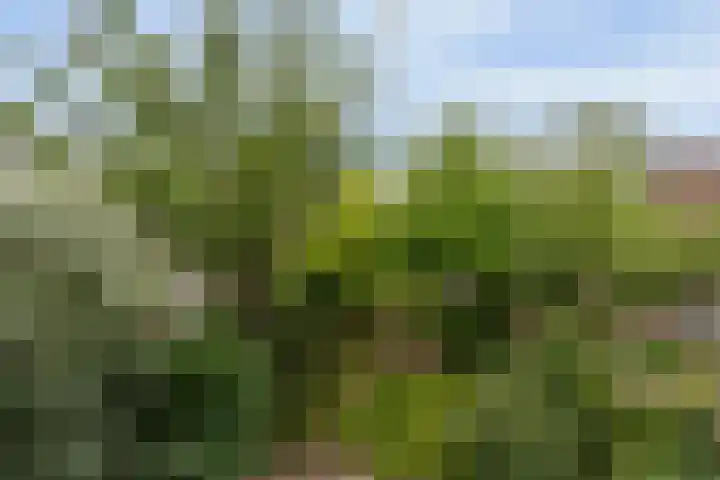 Zonnelaan 87 Huis ter Heide thumbnail 27