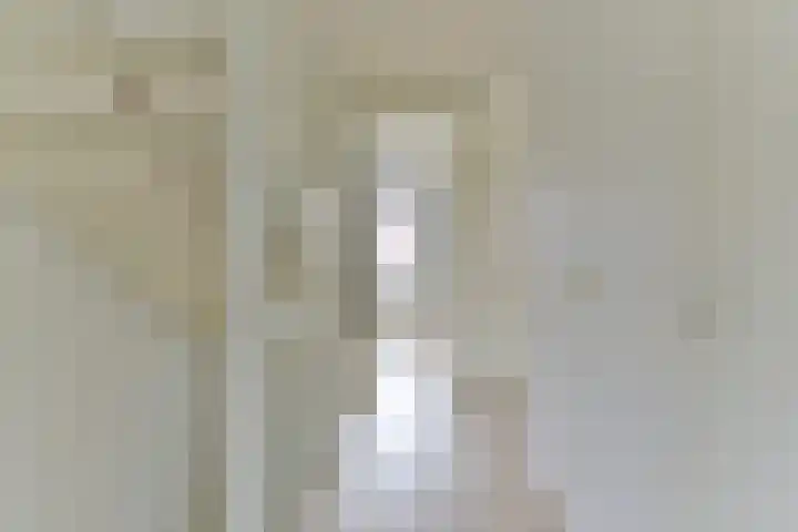 Zonnelaan 87 Huis ter Heide thumbnail 29