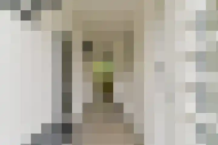 Zonnelaan 87 Huis ter Heide foto 3