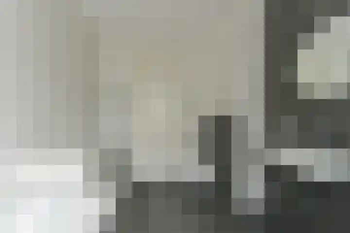 Zonnelaan 87 Huis ter Heide thumbnail 39