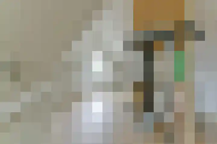 Zonnelaan 87 Huis ter Heide thumbnail 40