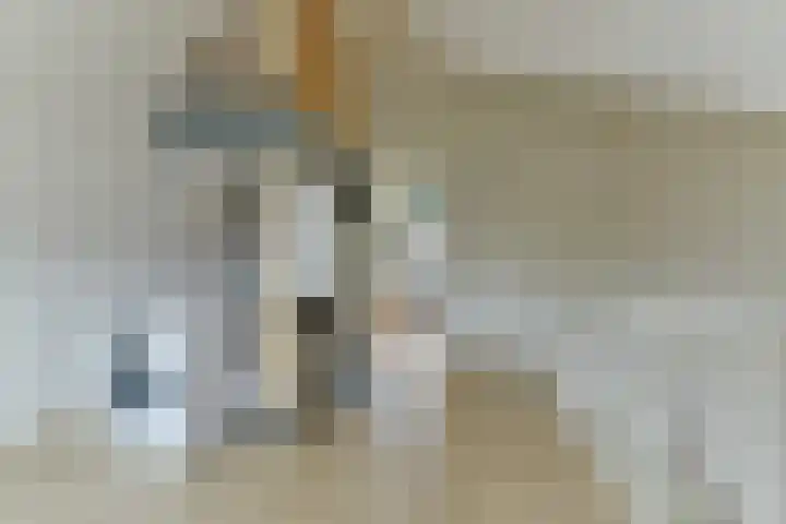 Zonnelaan 87 Huis ter Heide thumbnail 41