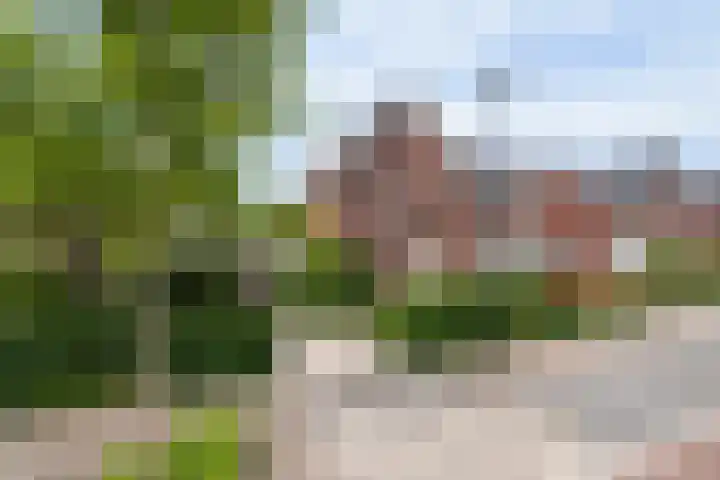 Zonnelaan 87 Huis ter Heide thumbnail 44