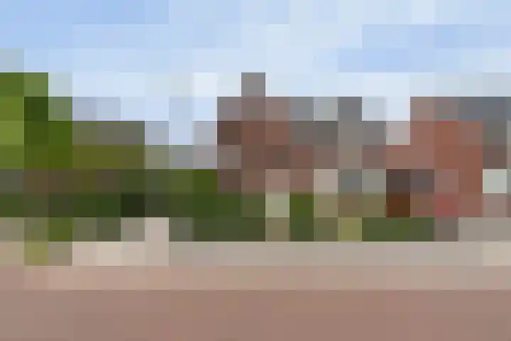 Zonnelaan 87 Huis ter Heide thumbnail 45