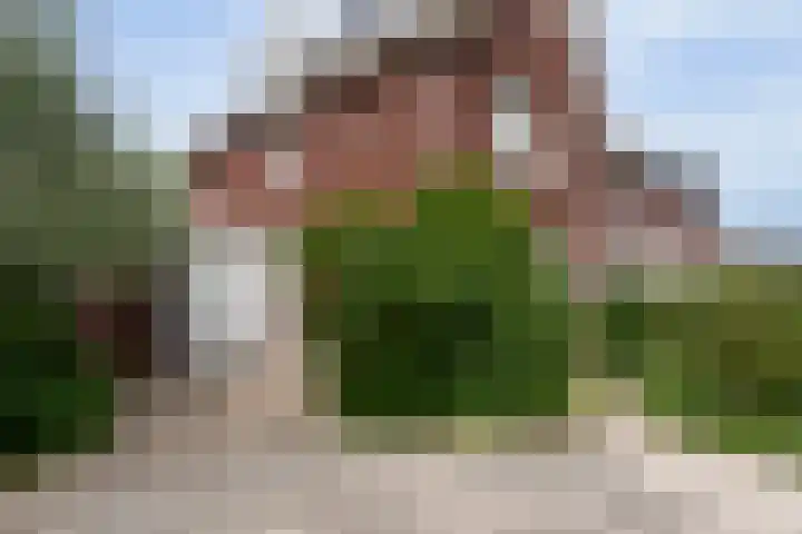 Zonnelaan 87 Huis ter Heide thumbnail 46