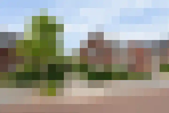 Zonnelaan 87 Huis ter Heide thumbnail 54