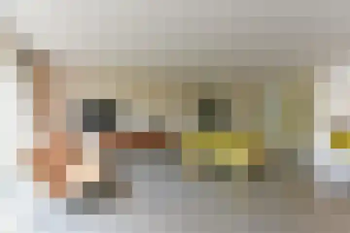 Zonnelaan 87 Huis ter Heide thumbnail 6