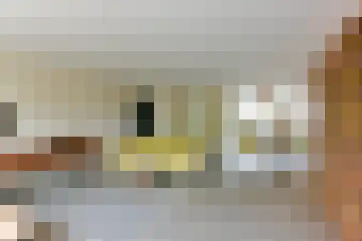 Zonnelaan 87 Huis ter Heide thumbnail 8