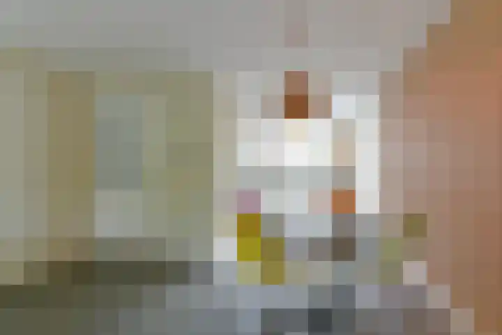 Zonnelaan 87 Huis ter Heide thumbnail 9