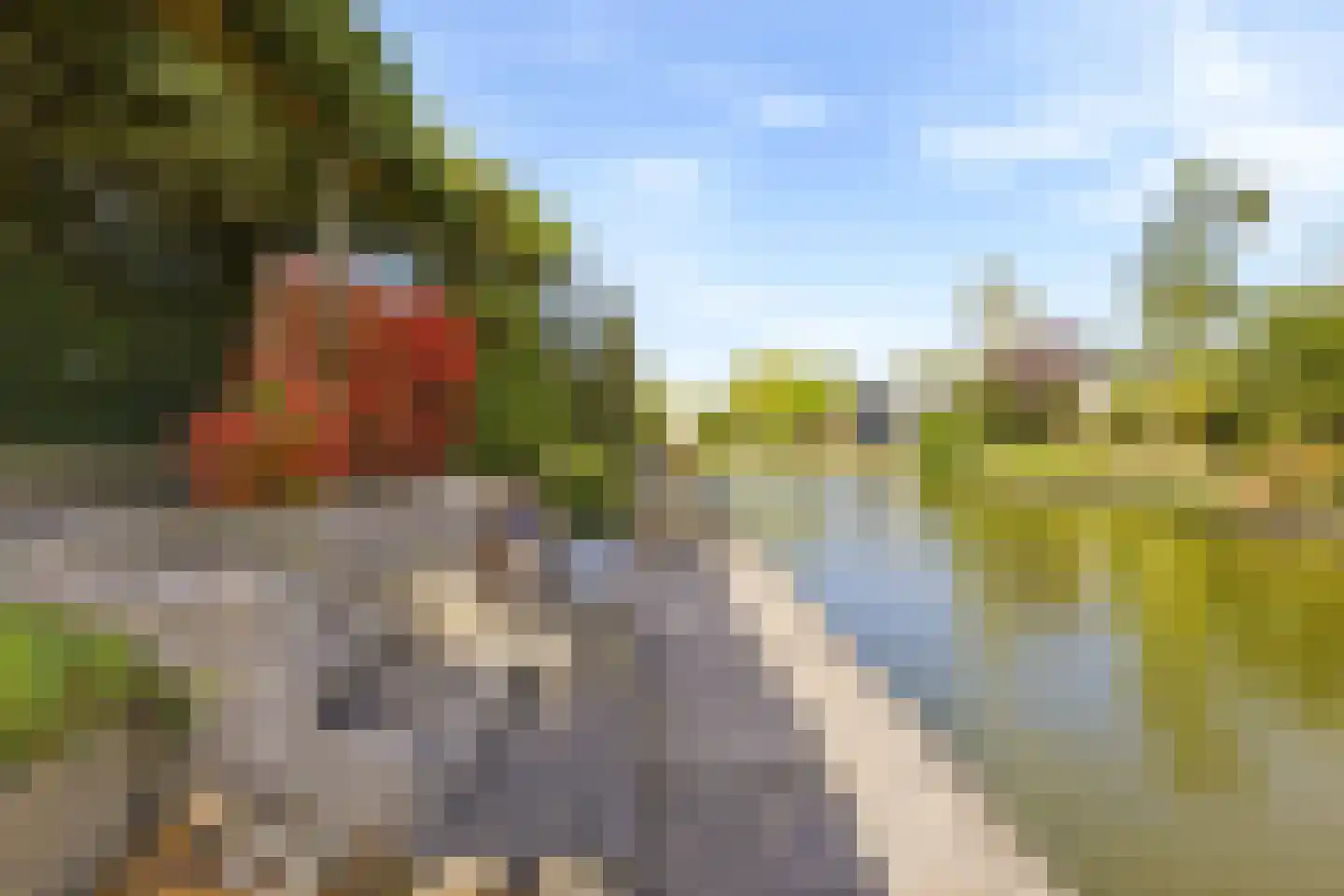Zonnemare 54 Axel thumbnail 15