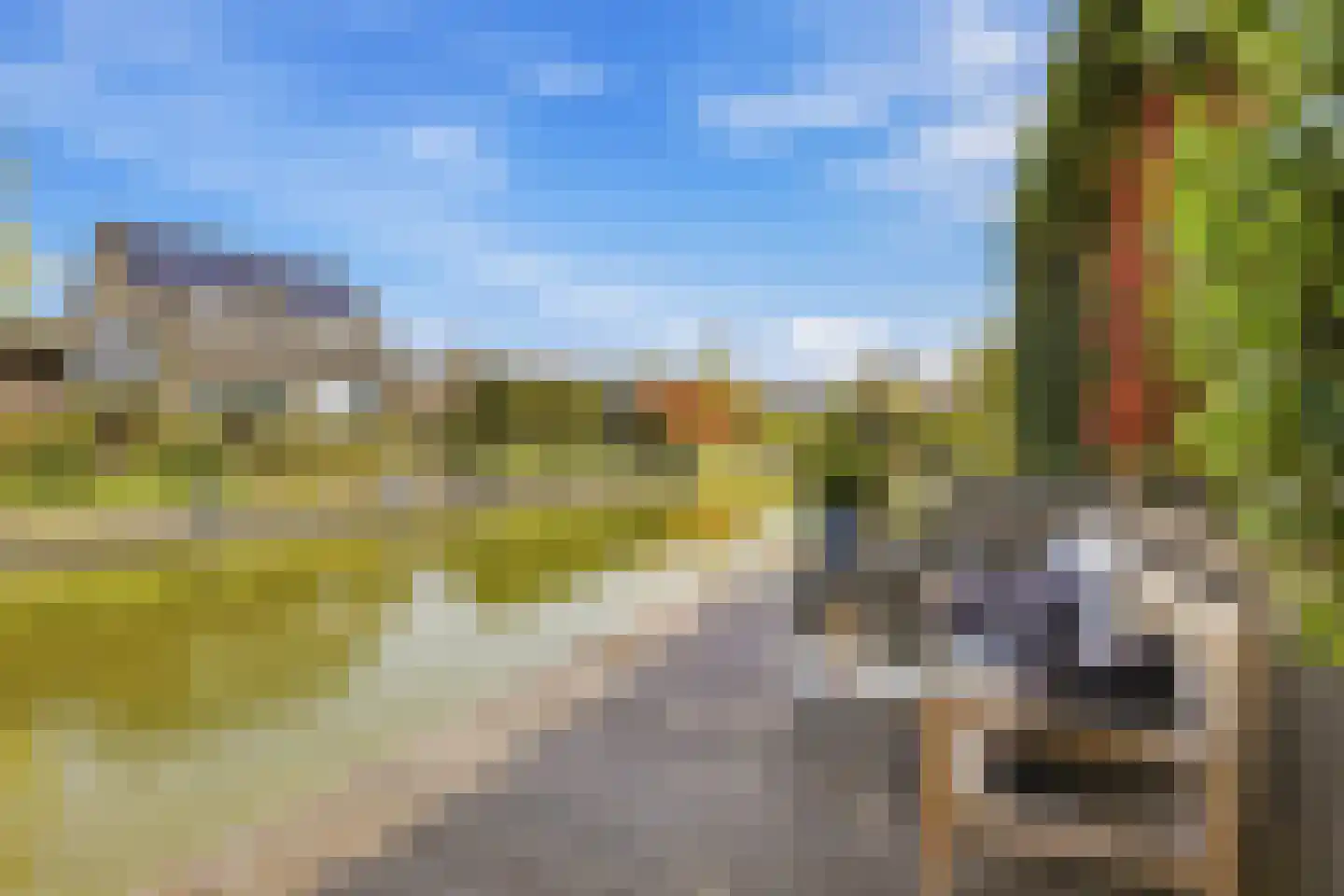 Zonnemare 54 Axel thumbnail 16