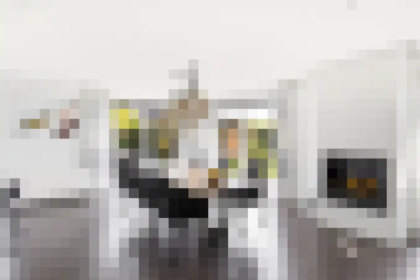 Zonnemare 54 Axel thumbnail 21
