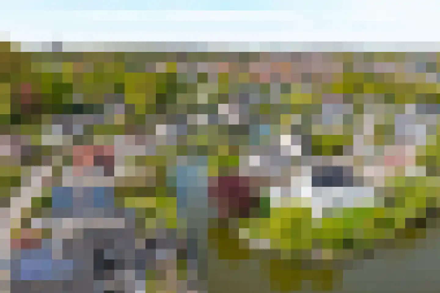 Zonnemare 54 Axel thumbnail 4