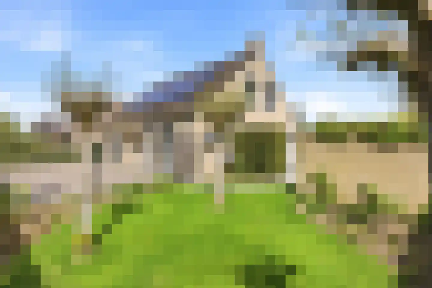 Zonnemare 54 Axel thumbnail 6