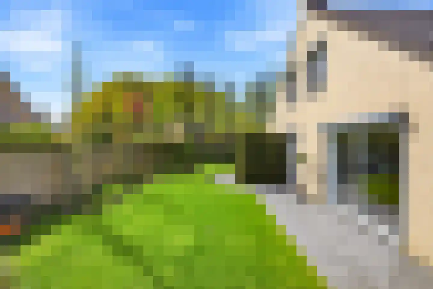 Zonnemare 54 Axel thumbnail 9
