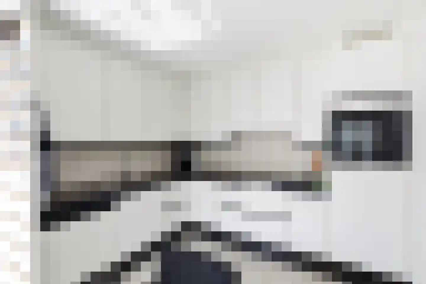 Zonnemare 8 Axel thumbnail 13