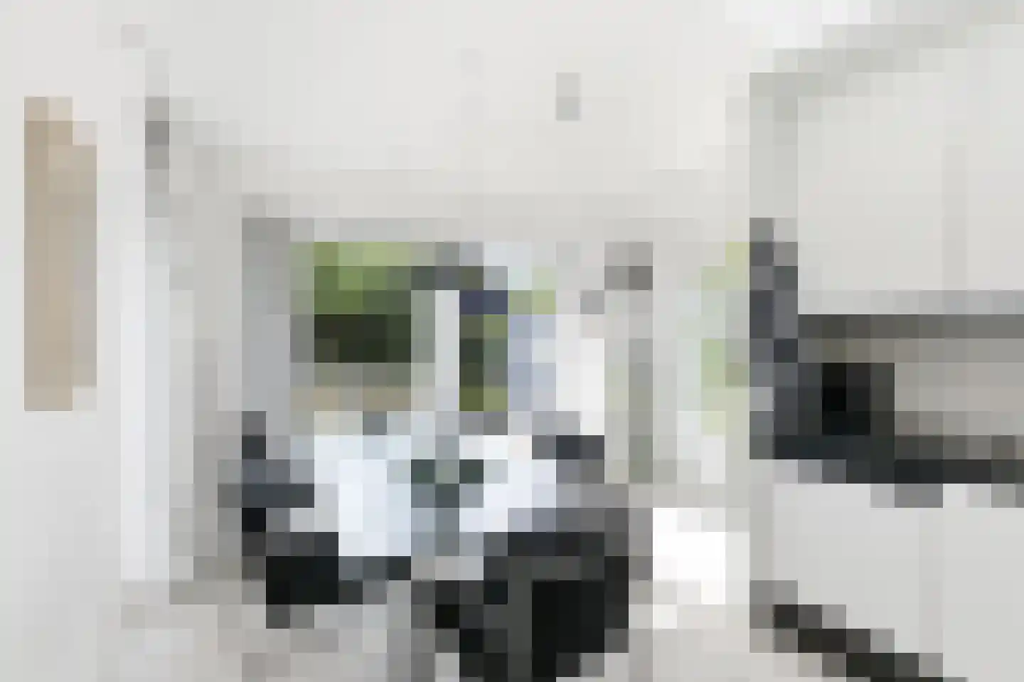 Zonnemare 8 Axel thumbnail 14